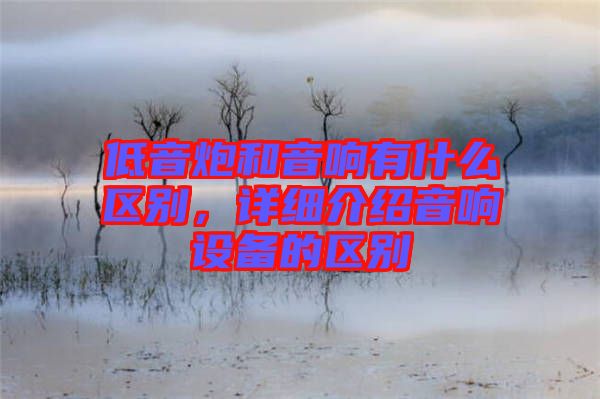 低音炮和音響有什么區(qū)別，詳細介紹音響設(shè)備的區(qū)別