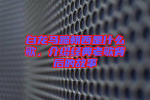 白龍馬蹄朝西是什么歌，介紹經(jīng)典老歌背后的故事