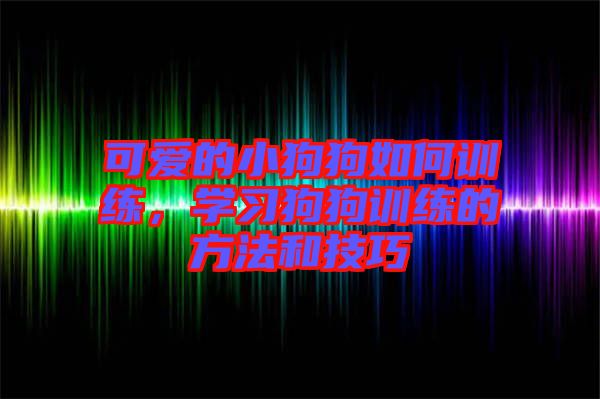 可愛的小狗狗如何訓練，學習狗狗訓練的方法和技巧
