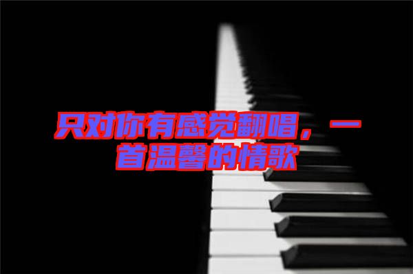 只對(duì)你有感覺(jué)翻唱，一首溫馨的情歌