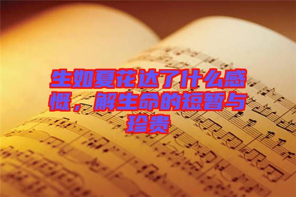 生如夏花達了什么感慨，解生命的短暫與珍貴
