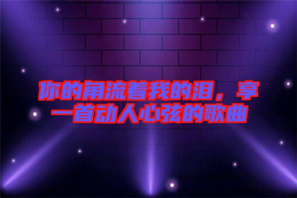 你的角流著我的淚，享一首動人心弦的歌曲