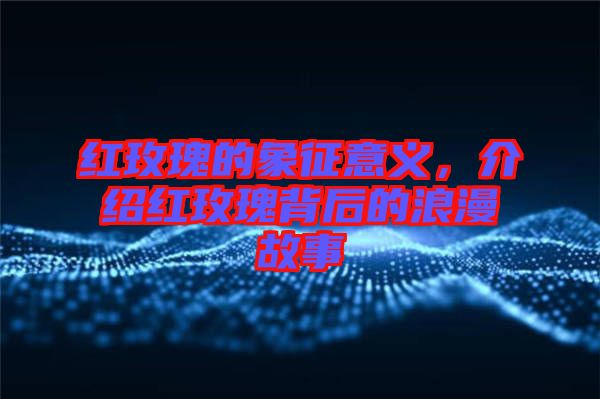 紅玫瑰的象征意義，介紹紅玫瑰背后的浪漫故事