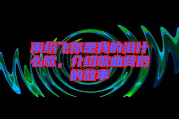 雨紛飛你是我的淚什么歌，介紹歌曲背后的故事