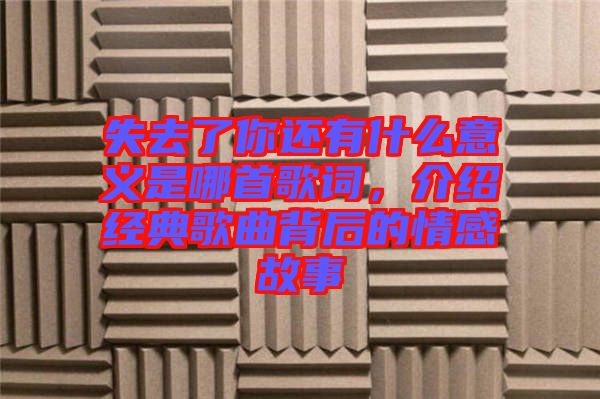 失去了你還有什么意義是哪首歌詞，介紹經(jīng)典歌曲背后的情感故事