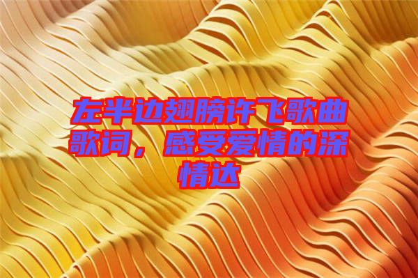 左半邊翅膀許飛歌曲歌詞，感受愛情的深情達(dá)