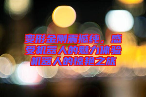 變形金剛震撼純，感受機(jī)器人的魅力體驗(yàn)機(jī)器人的驚艷之旅