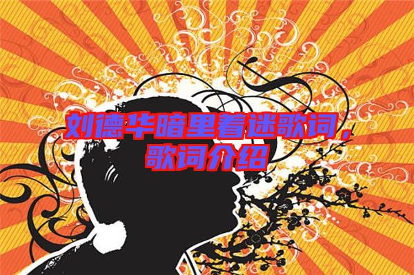 劉德華暗里著迷歌詞，歌詞介紹