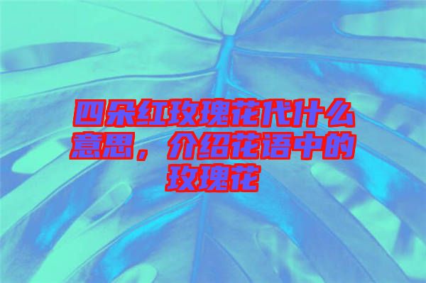 四朵紅玫瑰花代什么意思，介紹花語中的玫瑰花