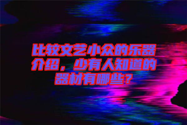 比較文藝小眾的樂器介紹，少有人知道的器材有哪些？