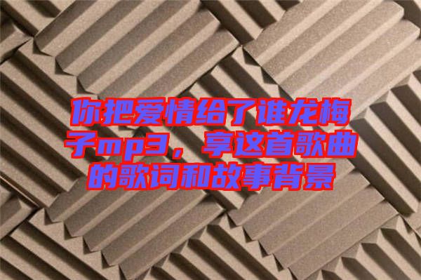 你把愛情給了誰龍梅子mp3，享這首歌曲的歌詞和故事背景