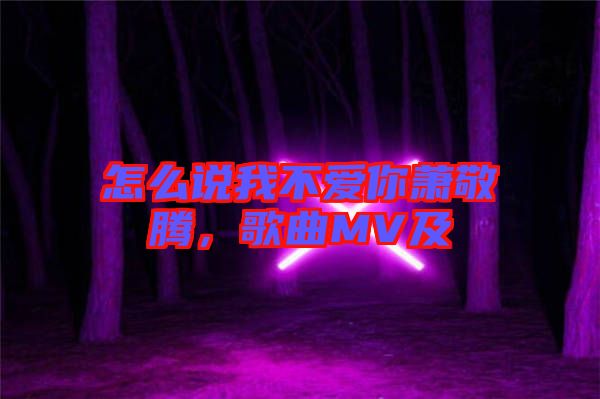 怎么說我不愛你蕭敬騰，歌曲MV及