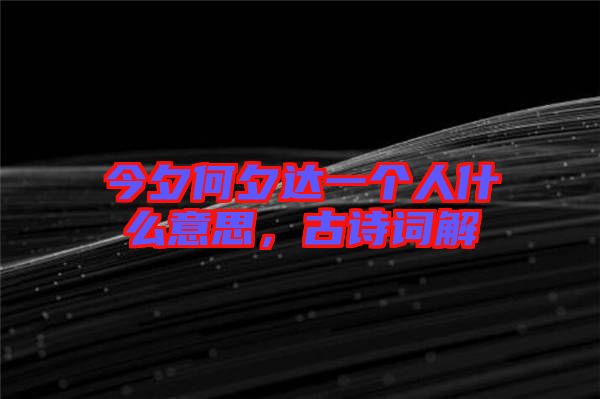 今夕何夕達一個人什么意思，古詩詞解