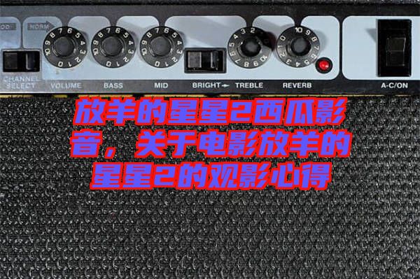 放羊的星星2西瓜影音，關(guān)于電影放羊的星星2的觀影心得