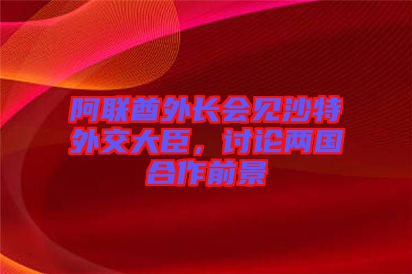 阿聯(lián)酋外長會見沙特外交大臣，討論兩國合作前景