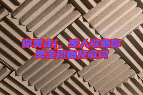 你莫走(，感人歌曲你莫走原唱及歌詞