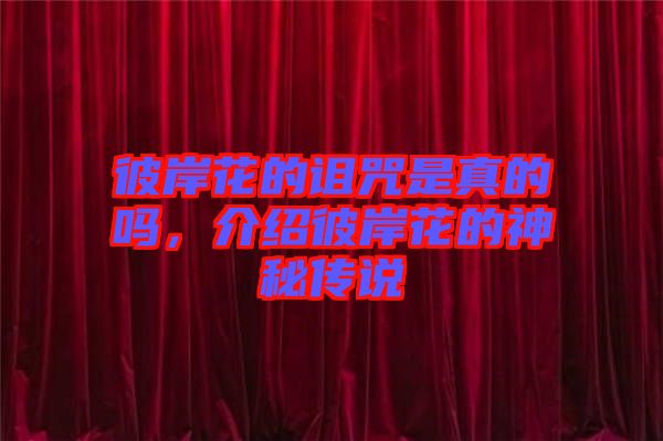 彼岸花的詛咒是真的嗎，介紹彼岸花的神秘傳說