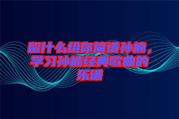 留什么給你簡譜孫楠，學(xué)習(xí)孫楠經(jīng)典歌曲的樂譜