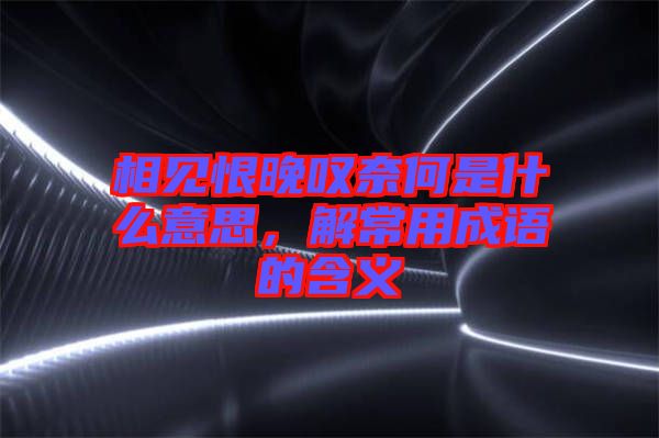 相見恨晚嘆奈何是什么意思，解常用成語的含義