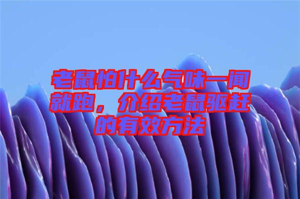 老鼠怕什么氣味一聞就跑，介紹老鼠驅(qū)趕的有效方法