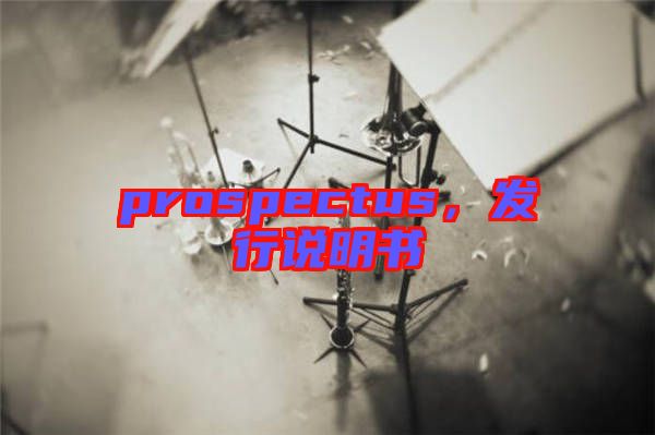 prospectus，發(fā)行說明書
