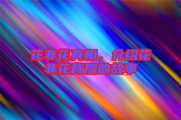 花非花真相，介紹花非花背后的故事
