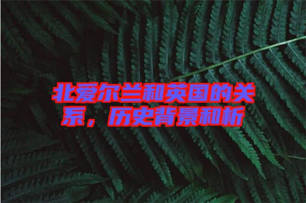 北愛爾蘭和英國(guó)的關(guān)系，歷史背景和析