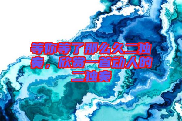 等你等了那么久二獨(dú)奏，欣賞一首動人的二獨(dú)奏