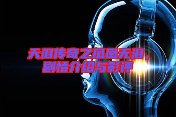 天淚傳奇之鳳凰無(wú)淚，劇情介紹與影評(píng)