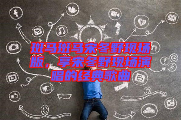 斑馬斑馬宋冬野現(xiàn)場版，享宋冬野現(xiàn)場演唱的經(jīng)典歌曲