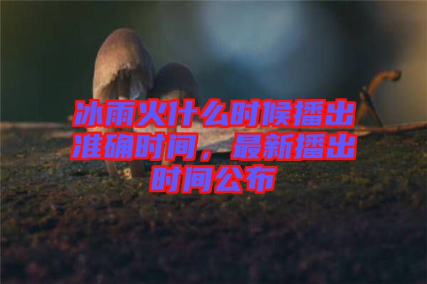 冰雨火什么時候播出準確時間，最新播出時間公布
