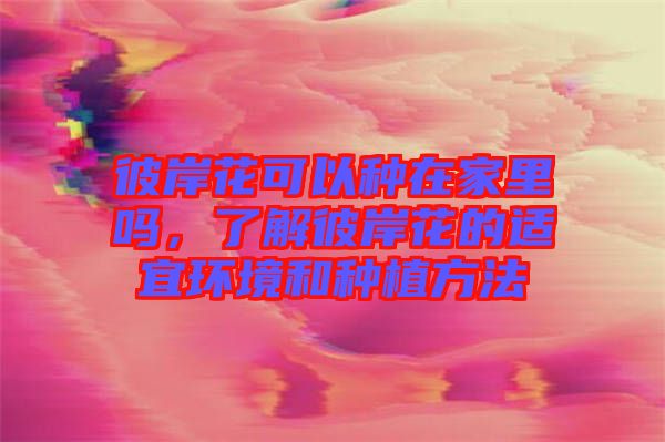 彼岸花可以種在家里嗎，了解彼岸花的適宜環(huán)境和種植方法