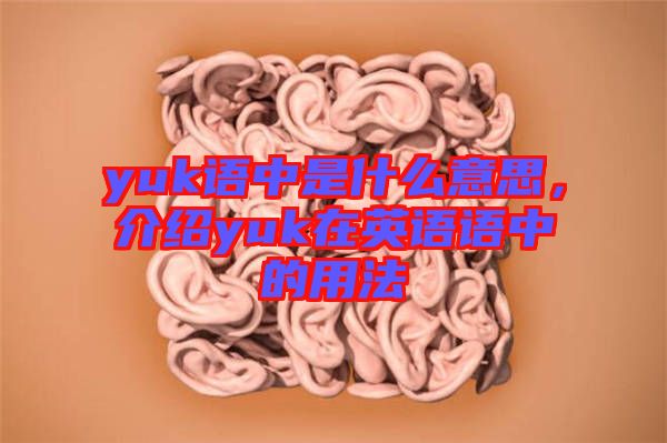 yuk語(yǔ)中是什么意思，介紹yuk在英語(yǔ)語(yǔ)中的用法