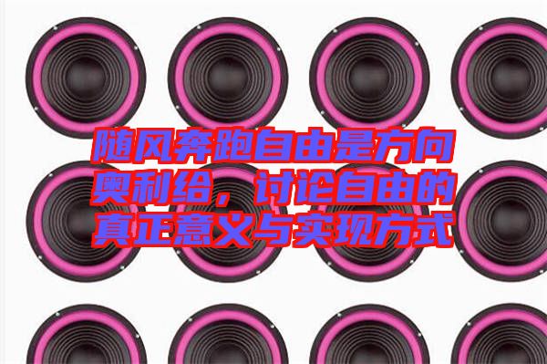 隨風(fēng)奔跑自由是方向奧利給，討論自由的真正意義與實(shí)現(xiàn)方式