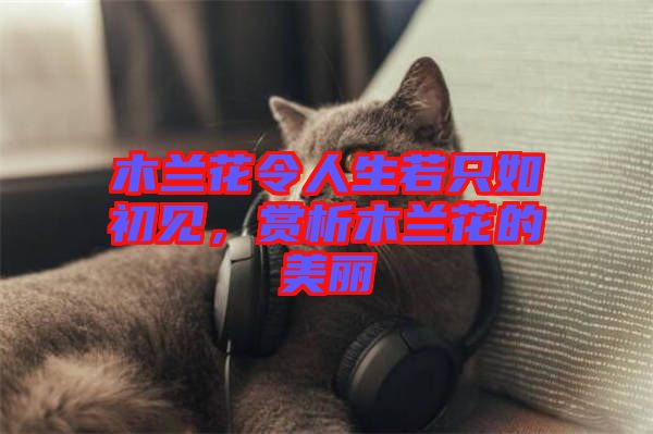 木蘭花令人生若只如初見，賞析木蘭花的美麗