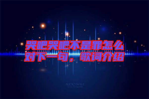 哭吧哭吧不是罪怎么對下一句，歌詞介紹