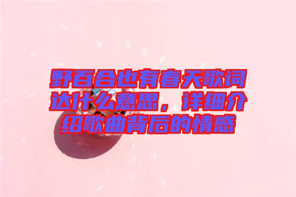 野百合也有春天歌詞達什么意思，詳細(xì)介紹歌曲背后的情感