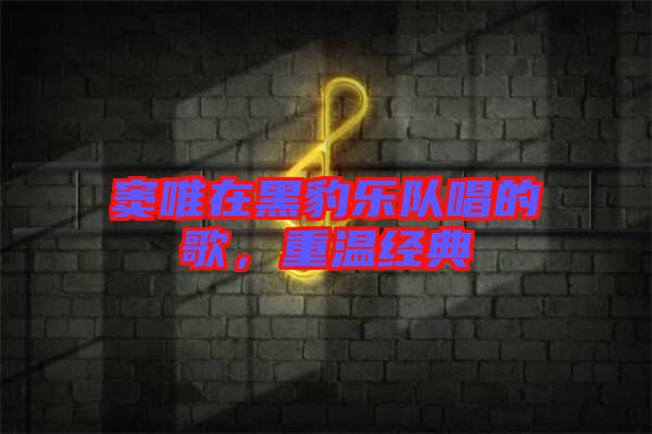 竇唯在黑豹樂隊(duì)唱的歌，重溫經(jīng)典
