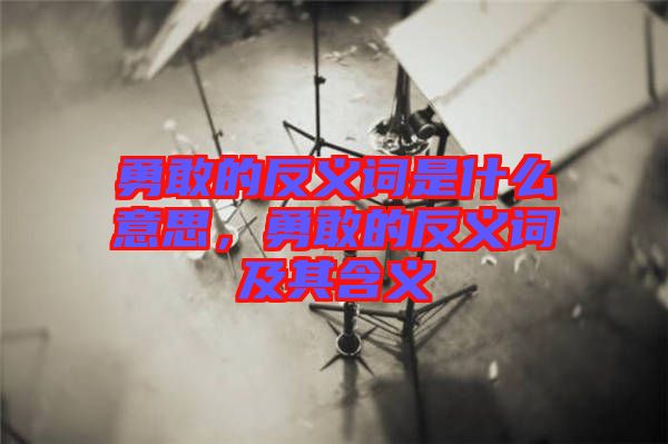勇敢的反義詞是什么意思，勇敢的反義詞及其含義
