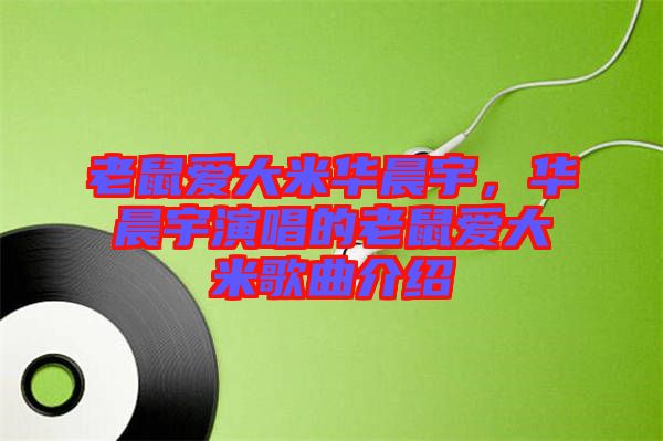 老鼠愛大米華晨宇，華晨宇演唱的老鼠愛大米歌曲介紹
