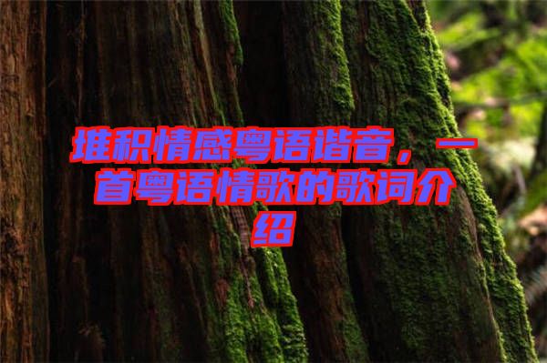 堆積情感粵語諧音，一首粵語情歌的歌詞介紹