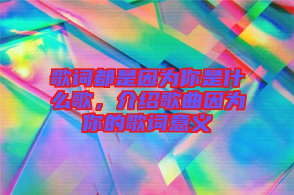 歌詞都是因?yàn)槟闶鞘裁锤?，介紹歌曲因?yàn)槟愕母柙~意義