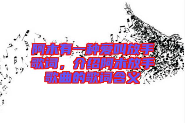 阿木有一種愛叫放手歌詞，介紹阿木放手歌曲的歌詞含義