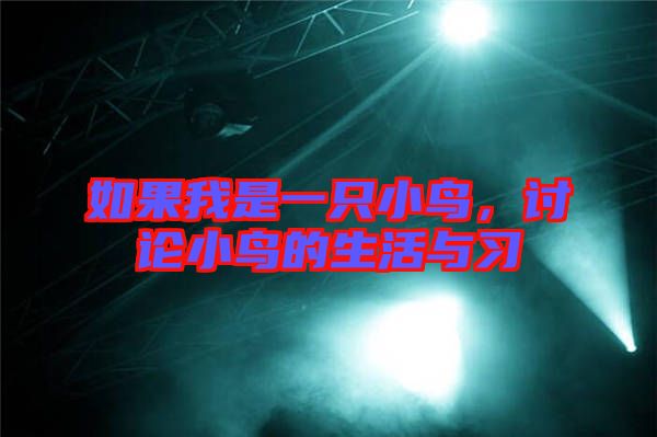 如果我是一只小鳥，討論小鳥的生活與習