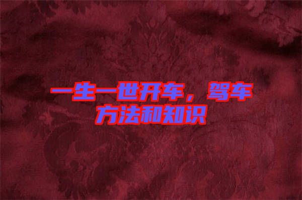 一生一世開車，駕車方法和知識(shí)