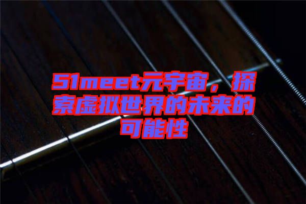 51meet元宇宙，探索虛擬世界的未來的可能性
