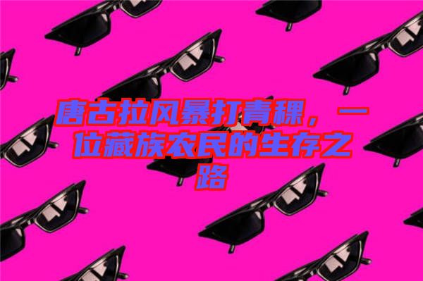 唐古拉風暴打青稞，一位藏族農(nóng)民的生存之路