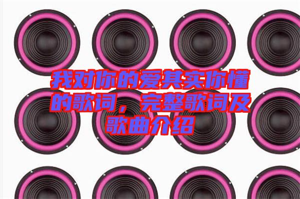 我對(duì)你的愛(ài)其實(shí)你懂的歌詞，完整歌詞及歌曲介紹
