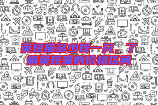 英短貓多少錢一只，了解英短貓的價格區(qū)間