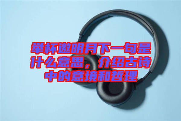 舉杯邀明月下一句是什么意思，介紹古詩中的意境和哲理